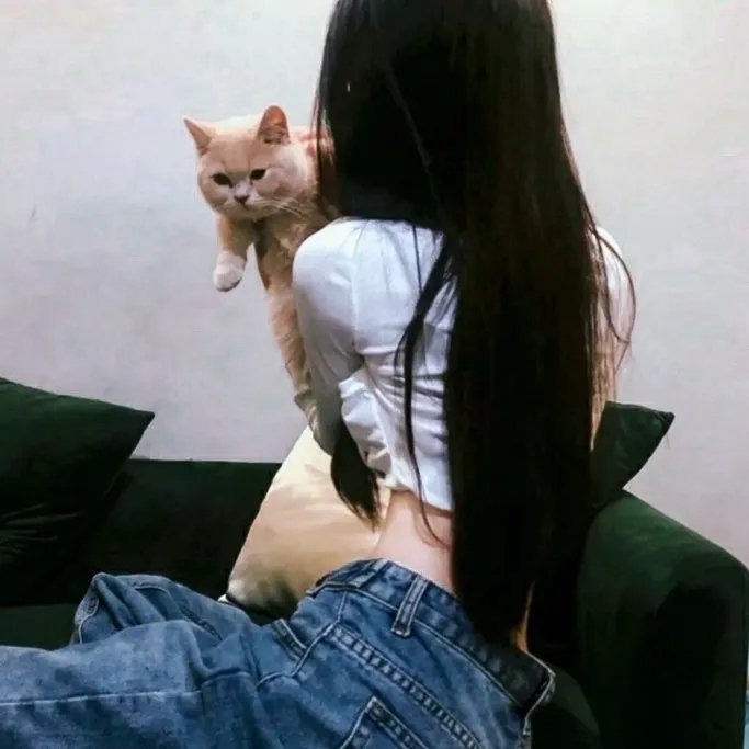 黑狐之风影