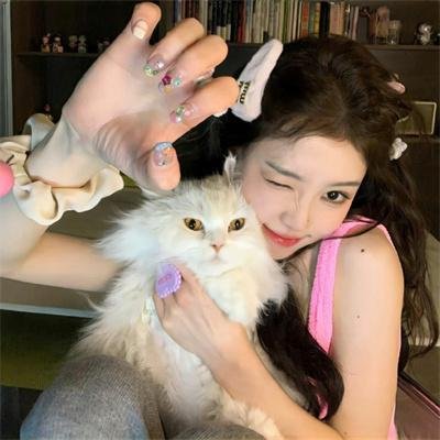做一只鸟真不容易